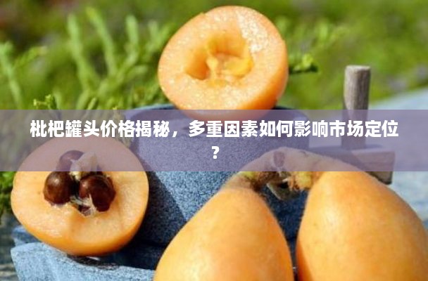 枇杷罐頭價(jià)格揭秘，多重因素如何影響市場(chǎng)定位？