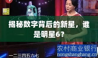 揭秘數(shù)字背后的新星，誰是明星6？