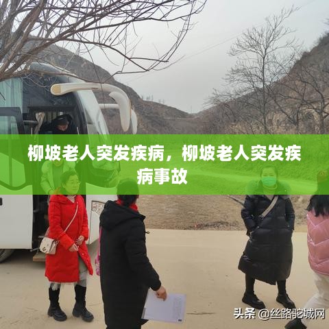 柳坡老人突發(fā)疾病，柳坡老人突發(fā)疾病事故 