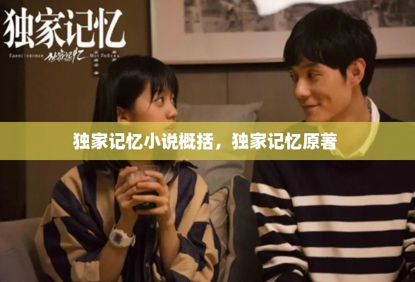 獨(dú)家記憶小說概括，獨(dú)家記憶原著 