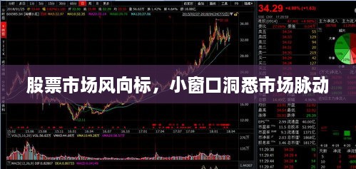 股票市場風向標,小窗口洞悉市場脈動