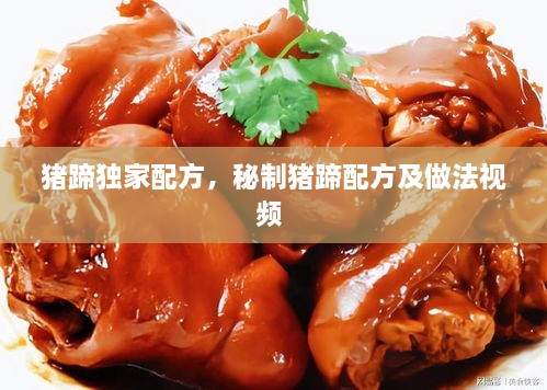 豬蹄獨家配方，秘制豬蹄配方及做法視頻 
