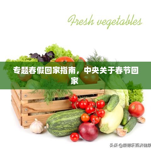 專題春假回家指南，中央關于春節(jié)回家 