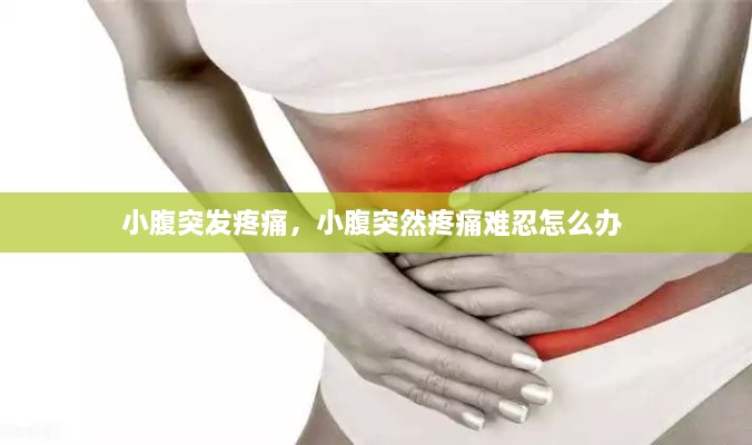 小腹突發(fā)疼痛，小腹突然疼痛難忍怎么辦 