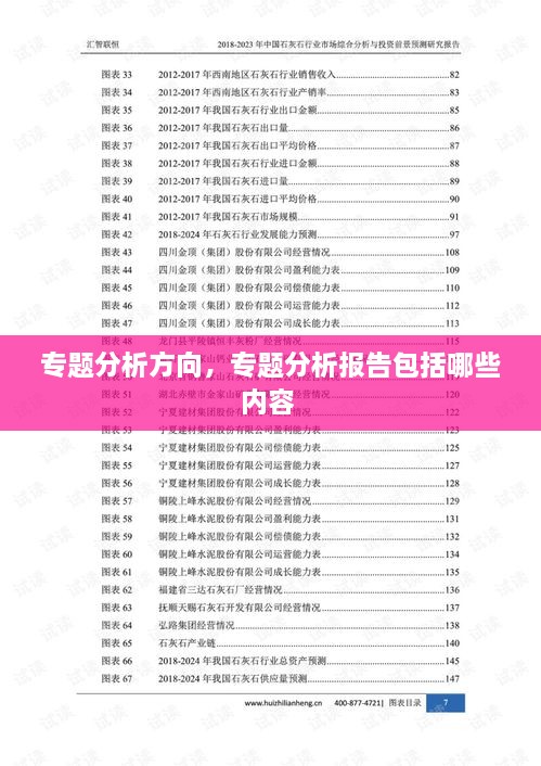 專題分析方向，專題分析報告包括哪些內容 
