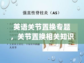 英語關(guān)節(jié)置換專題，關(guān)節(jié)置換相關(guān)知識 