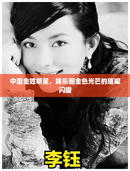 中國(guó)金姓明星，娛樂(lè)圈金色光芒的璀璨閃耀