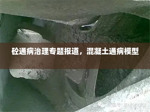 砼通病治理專題報道，混凝土通病模型 