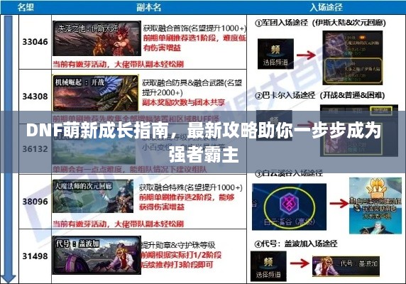 DNF萌新成長指南，最新攻略助你一步步成為強(qiáng)者霸主