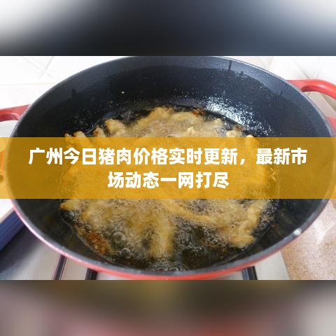 廣州今日豬肉價格實時更新，最新市場動態(tài)一網(wǎng)打盡