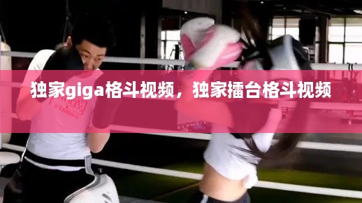 獨(dú)家giga格斗視頻，獨(dú)家擂臺(tái)格斗視頻 