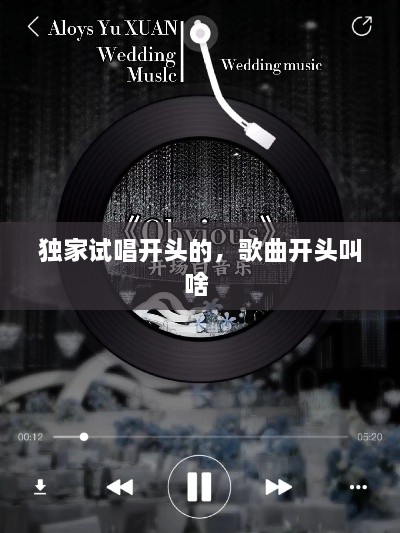 獨(dú)家試唱開(kāi)頭的，歌曲開(kāi)頭叫啥 
