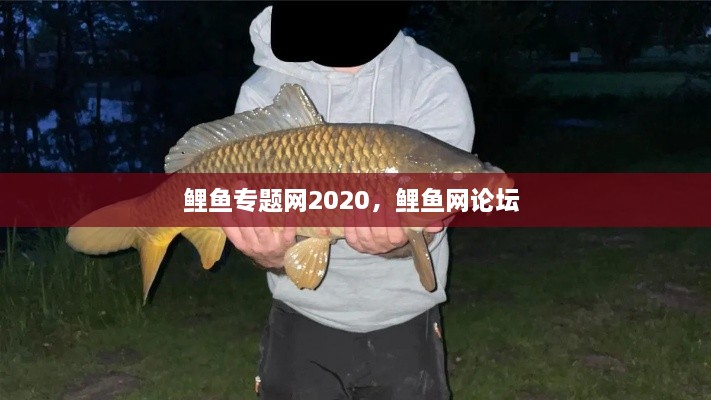 鯉魚專題網(wǎng)2020，鯉魚網(wǎng)論壇 