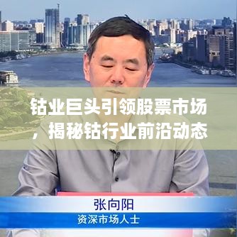 鈷業(yè)巨頭引領(lǐng)股票市場(chǎng)，揭秘鈷行業(yè)前沿動(dòng)態(tài)與未來(lái)趨勢(shì)