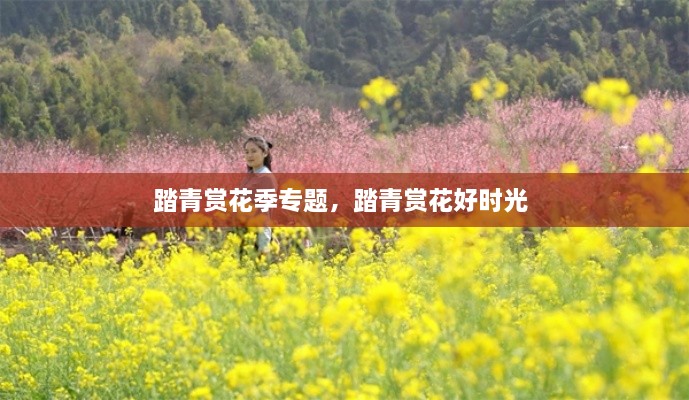 踏青賞花季專題，踏青賞花好時光 