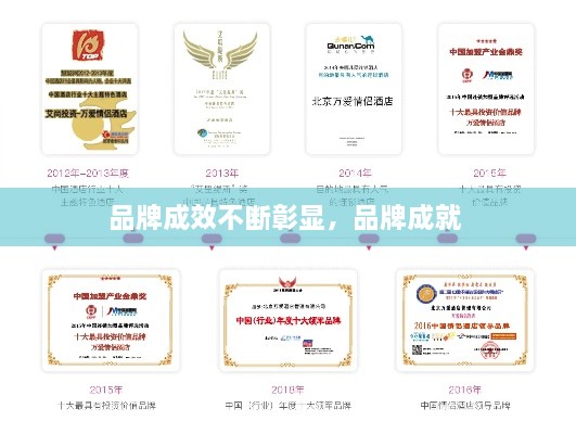 品牌成效不斷彰顯，品牌成就 