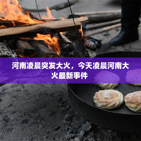 新聞動態(tài) 第10頁