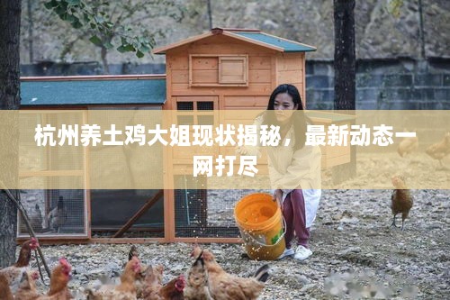 杭州養(yǎng)土雞大姐現(xiàn)狀揭秘，最新動(dòng)態(tài)一網(wǎng)打盡