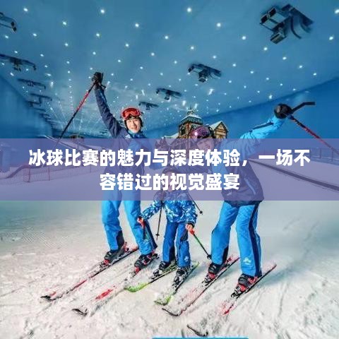 冰球比賽的魅力與深度體驗(yàn)，一場不容錯(cuò)過的視覺盛宴