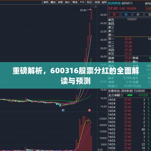 重磅解析，600316股票分紅的全面解讀與預(yù)測(cè)