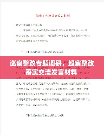 巡察整改專題調研，巡察整改落實交流發(fā)言材料 