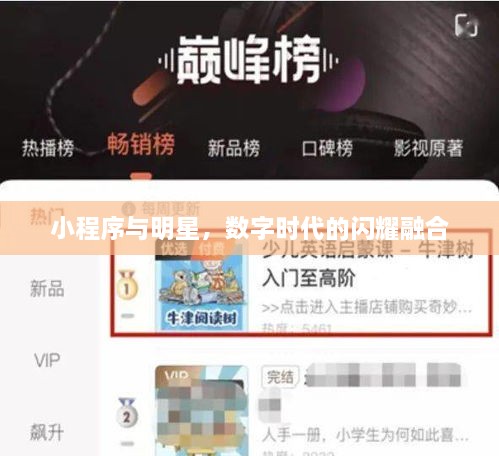 小程序與明星，數(shù)字時代的閃耀融合