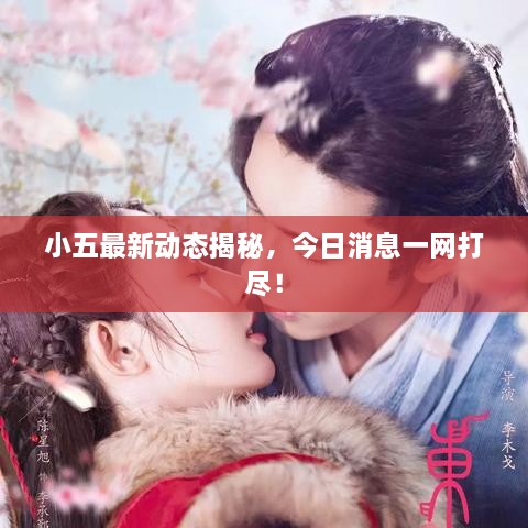 小五最新動(dòng)態(tài)揭秘，今日消息一網(wǎng)打盡！