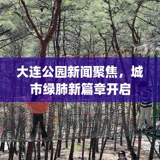 大連公園新聞聚焦，城市綠肺新篇章開啟