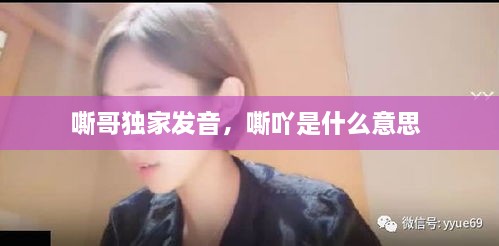 嘶哥獨(dú)家發(fā)音，嘶吖是什么意思 