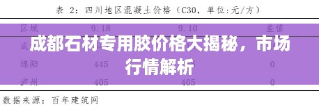 成都石材專用膠價格大揭秘，市場行情解析