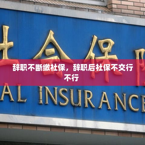 辭職不斷繳社保，辭職后社保不交行不行 