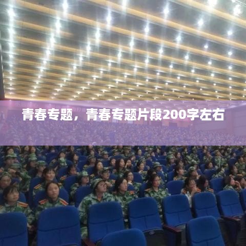 青春專題，青春專題片段200字左右 