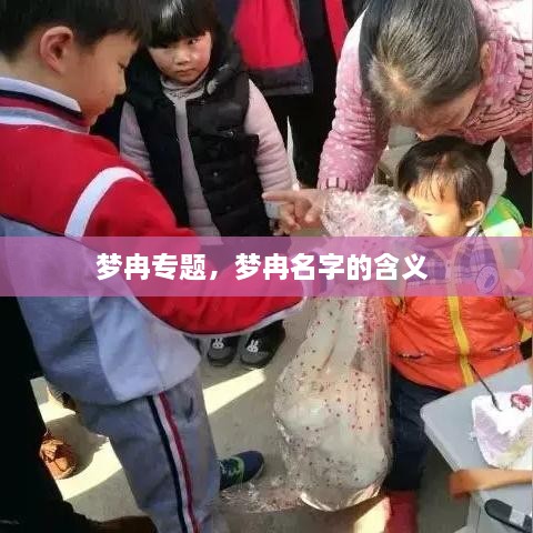 夢冉專題，夢冉名字的含義 