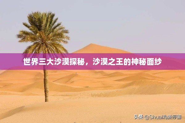 世界三大沙漠探秘，沙漠之王的神秘面紗