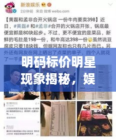 明碼標價明星現(xiàn)象揭秘，娛樂圈的新挑戰(zhàn)與觀察