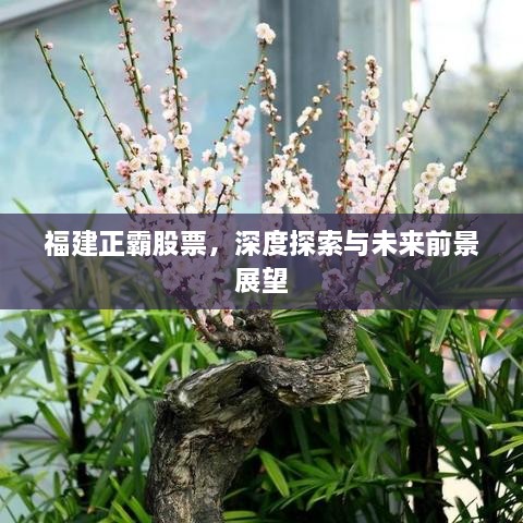 福建正霸股票，深度探索與未來前景展望
