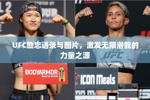 UFC勵(lì)志語錄與圖片，激發(fā)無限潛能的力量之源
