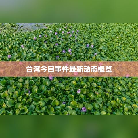 臺(tái)灣今日事件最新動(dòng)態(tài)概覽