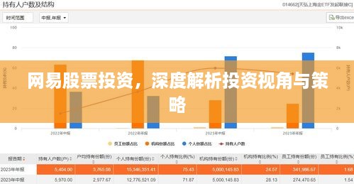 網(wǎng)易股票投資，深度解析投資視角與策略
