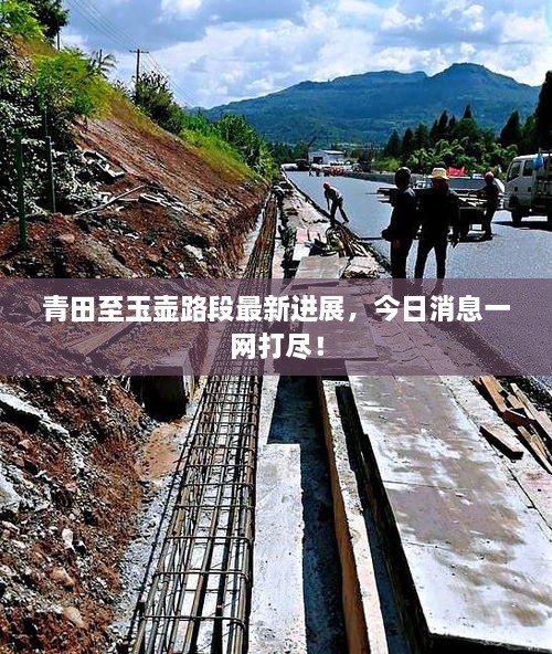 青田至玉壺路段最新進(jìn)展，今日消息一網(wǎng)打盡！