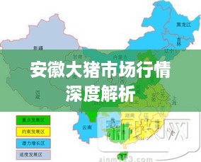 安徽大豬市場行情深度解析