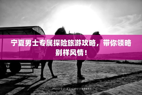 寧夏男士專屬探險(xiǎn)旅游攻略，帶你領(lǐng)略別樣風(fēng)情！
