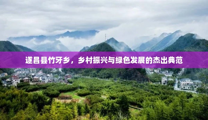 遂昌縣竹牙鄉(xiāng)，鄉(xiāng)村振興與綠色發(fā)展的杰出典范