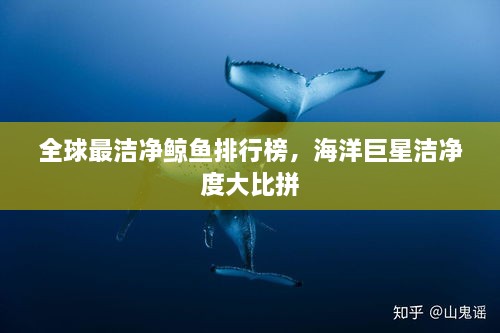 全球最潔凈鯨魚排行榜，海洋巨星潔凈度大比拼