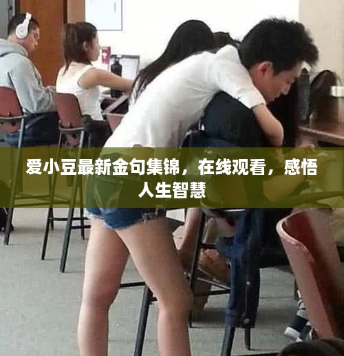 愛小豆最新金句集錦，在線觀看，感悟人生智慧