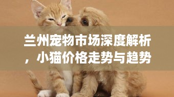 蘭州寵物市場深度解析，小貓價格走勢與趨勢探尋