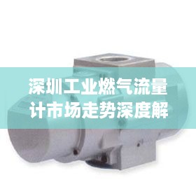 深圳工業(yè)燃?xì)饬髁坑?jì)市場走勢(shì)深度解析