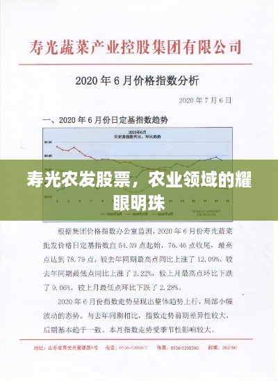 壽光農(nóng)發(fā)股票，農(nóng)業(yè)領(lǐng)域的耀眼明珠