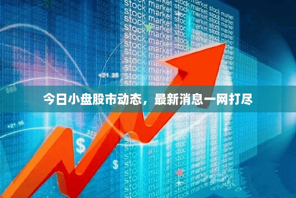 今日小盤股市動態(tài)，最新消息一網打盡