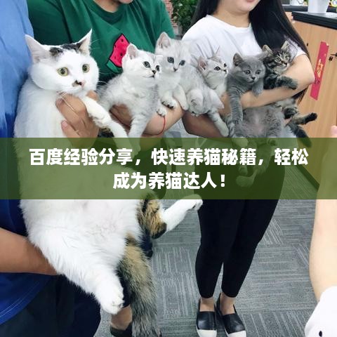 百度經(jīng)驗(yàn)分享，快速養(yǎng)貓秘籍，輕松成為養(yǎng)貓達(dá)人！